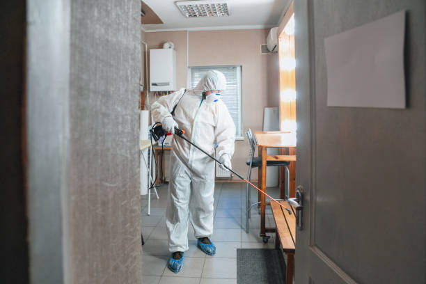 Best Airborne Mold Testing  in Hideaway, TX