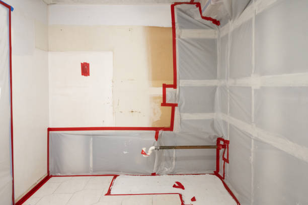 Best Industrial Mold Remediation  in Hideaway, TX