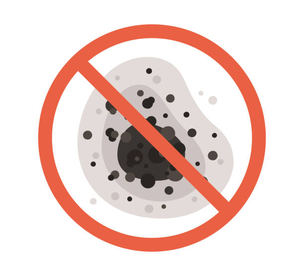 Best Black Mold Removal  in Hideaway, TX