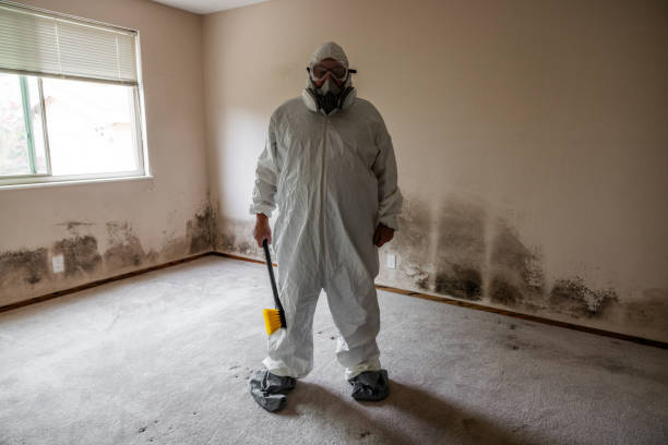Asbestos and Lead Testing During Mold Inspection in Hideaway, TX