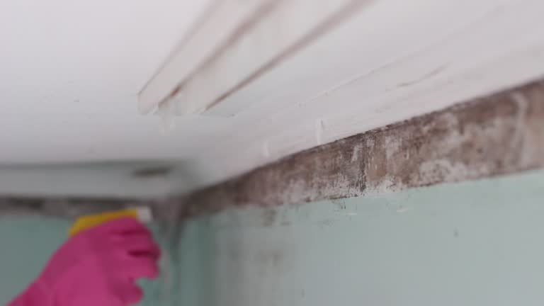 Best Post-Remediation Verification Testing  in Hideaway, TX